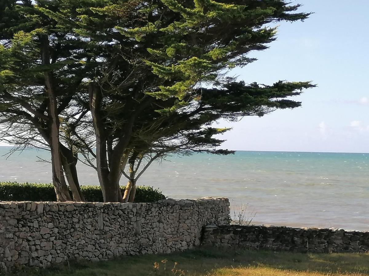 Plozévet La Tour Du Bois Dormant B&B 외부 사진