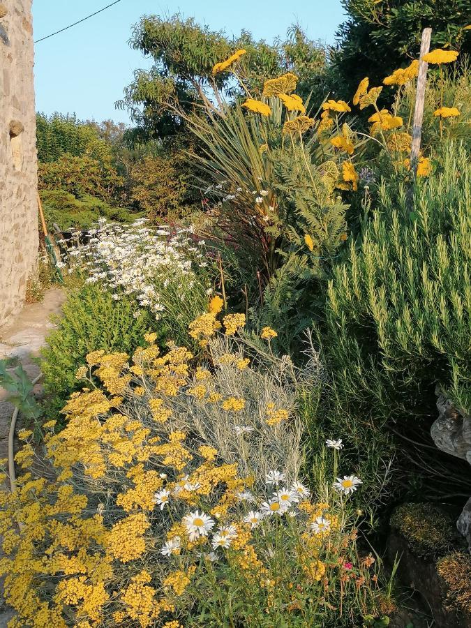 Plozévet La Tour Du Bois Dormant B&B 외부 사진